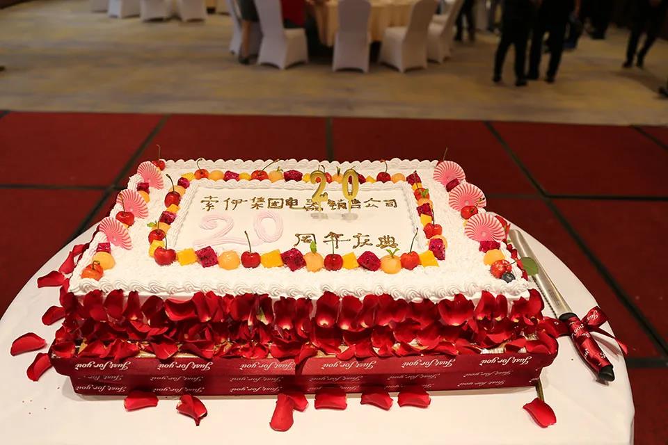 忆往昔峥嵘岁月 展未来催人奋进——热烈庆祝6686在线注册销售公司成立20周年